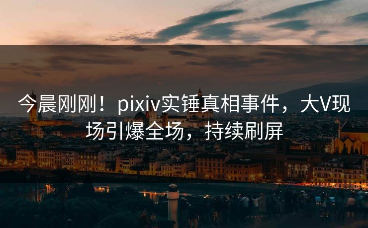 今晨刚刚！pixiv实锤真相事件，大V现场引爆全场，持续刷屏