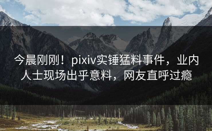 今晨刚刚！pixiv实锤猛料事件，业内人士现场出乎意料，网友直呼过瘾