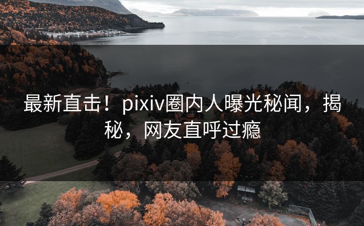 最新直击！pixiv圈内人曝光秘闻，揭秘，网友直呼过瘾