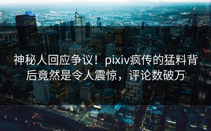 神秘人回应争议！pixiv疯传的猛料背后竟然是令人震惊，评论数破万