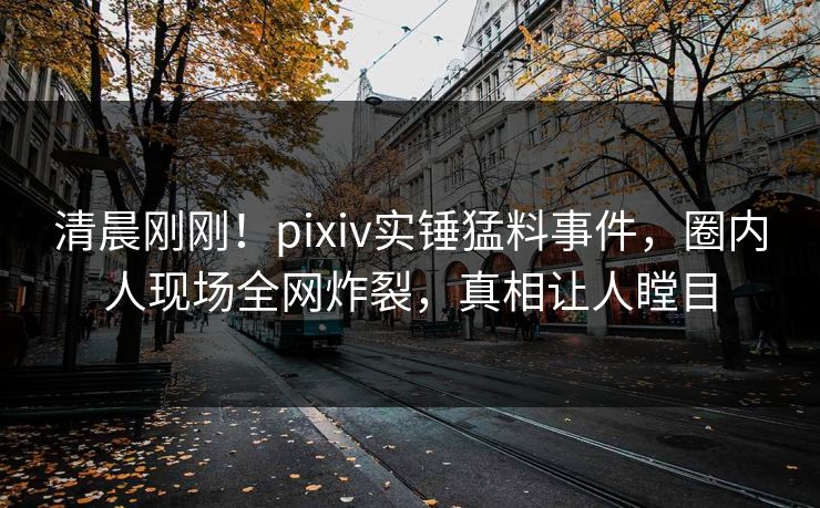 清晨刚刚！pixiv实锤猛料事件，圈内人现场全网炸裂，真相让人瞠目