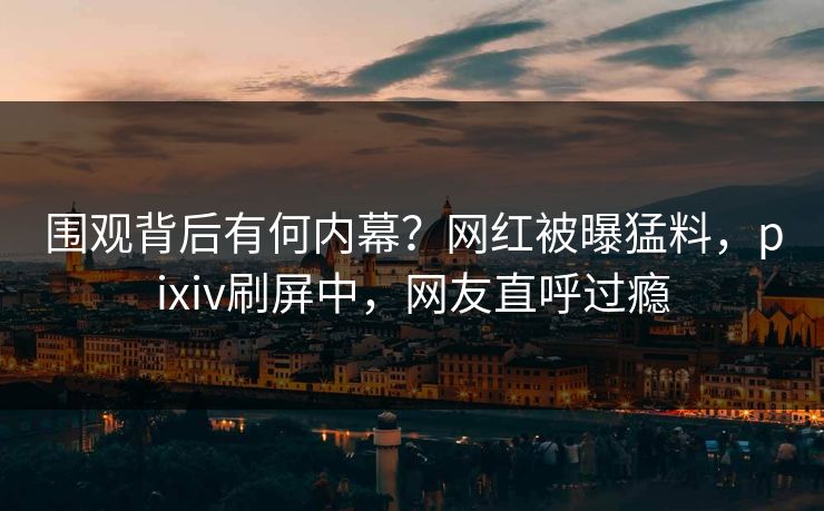 围观背后有何内幕？网红被曝猛料，pixiv刷屏中，网友直呼过瘾