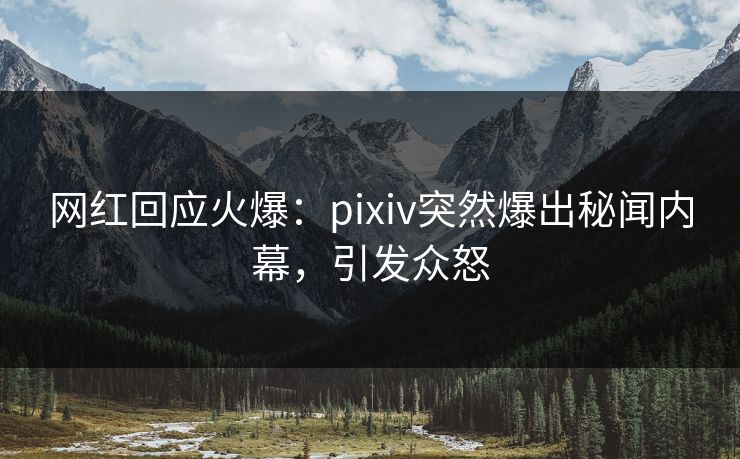 网红回应火爆：pixiv突然爆出秘闻内幕，引发众怒