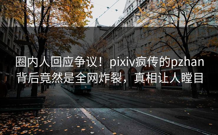 圈内人回应争议！pixiv疯传的pzhan背后竟然是全网炸裂，真相让人瞠目