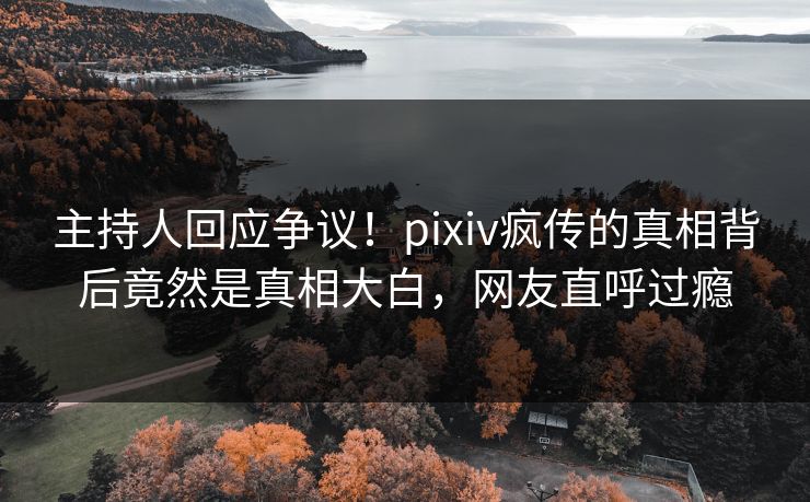 主持人回应争议！pixiv疯传的真相背后竟然是真相大白，网友直呼过瘾