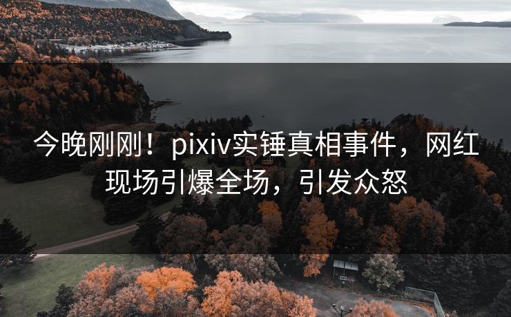 今晚刚刚！pixiv实锤真相事件，网红现场引爆全场，引发众怒