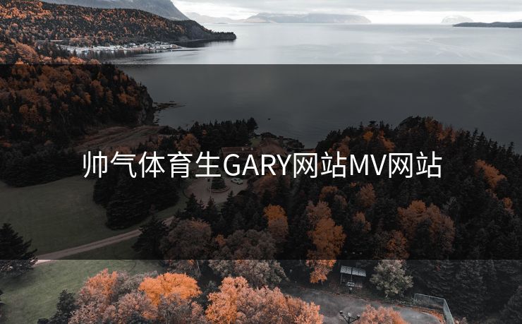 帅气体育生GARY网站MV网站