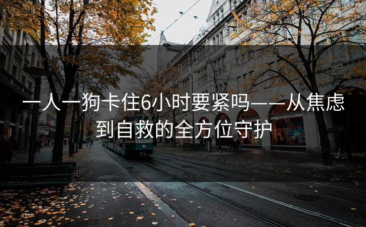 一人一狗卡住6小时要紧吗——从焦虑到自救的全方位守护